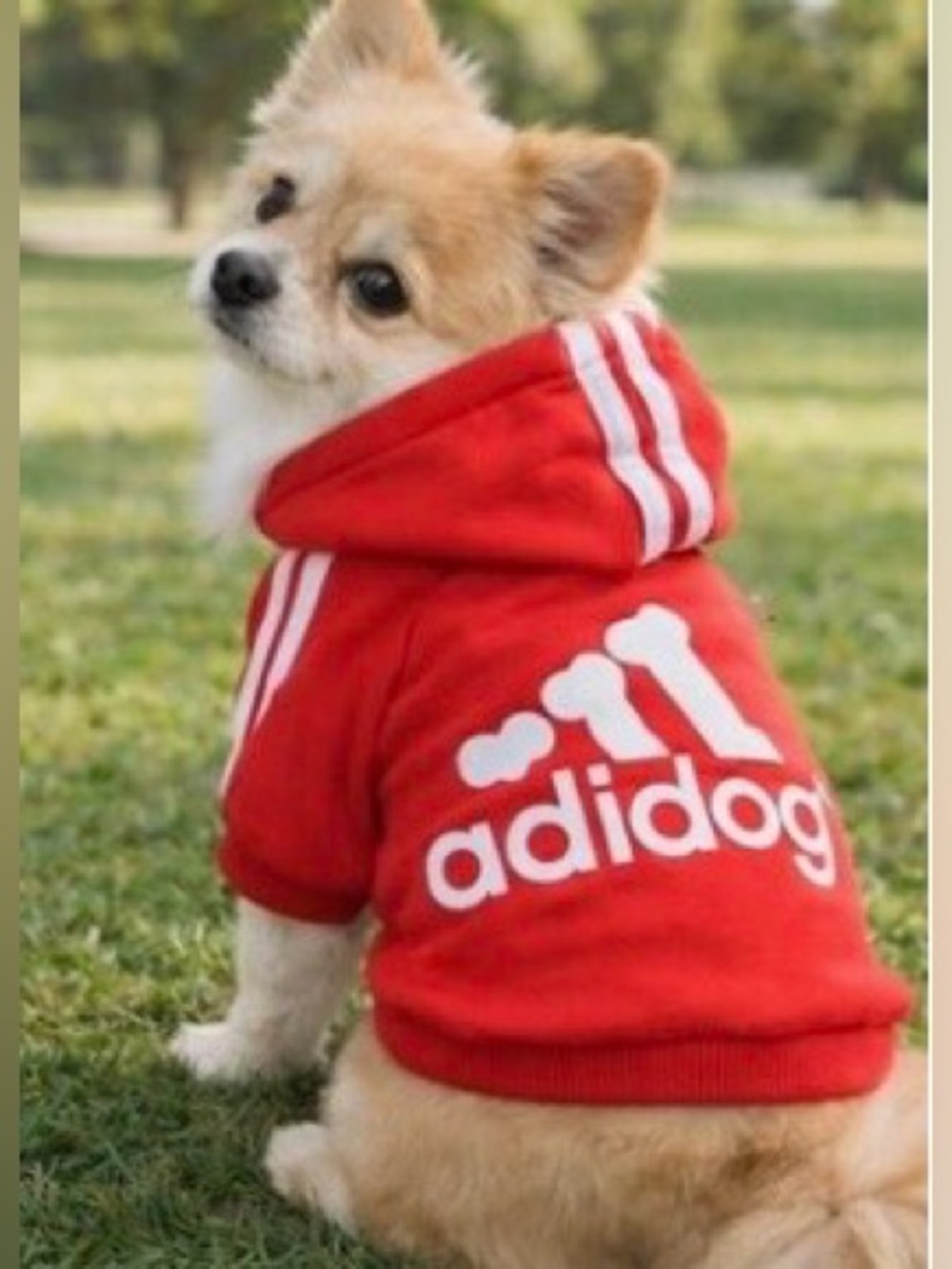 Soft Fleece Hoodies, Warm Sweatshirt, Winter Pet Jacket, Dogs Apparel, Clothing